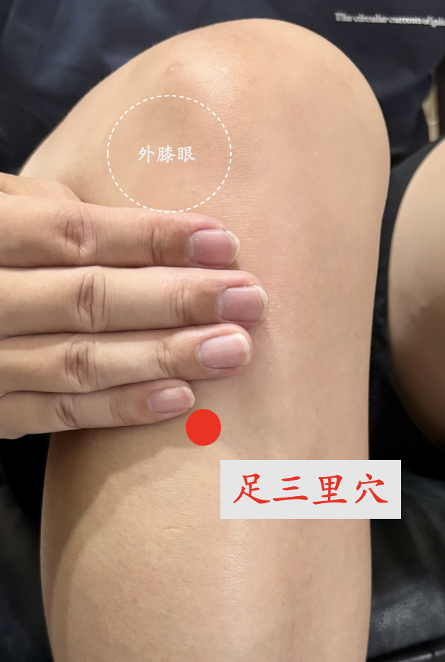 足三里