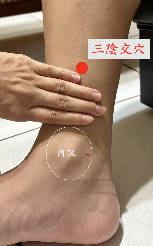 三陰交