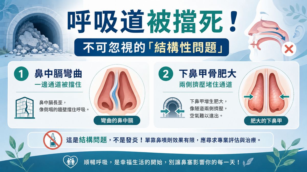 呼吸道被擋死！不可忽視的「結構性問題」