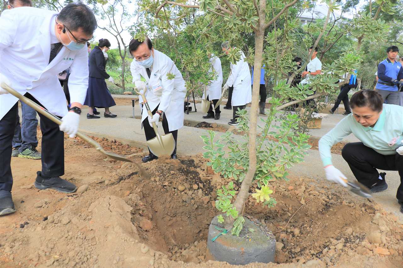 台中慈院慶醫師節 同仁景觀工程植樹守護大地