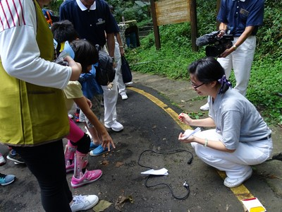 image 08_83e32.png