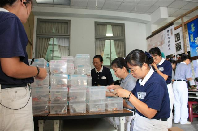 image 12_88c15.png