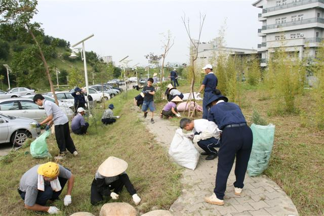 image 14_241c0.png