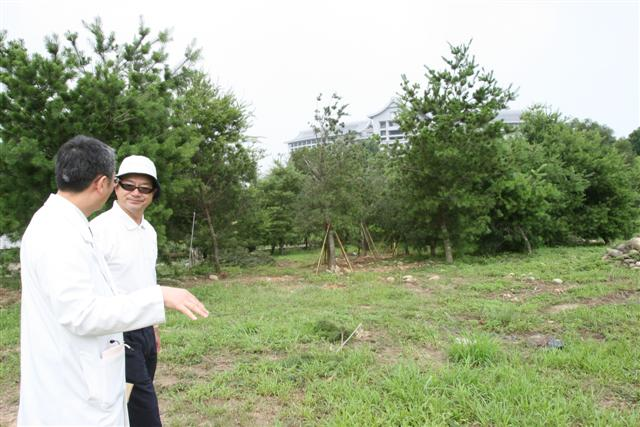 image 15_985b1.png