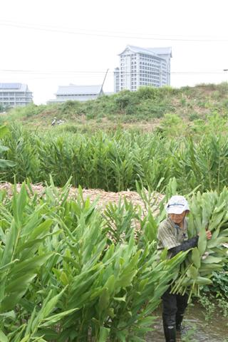 image 1_108f5.png