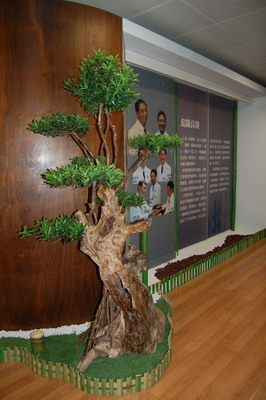 image 1_2d743.png
