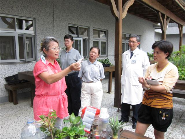 園藝治療玩水耕，車禍腦傷病患開心參與