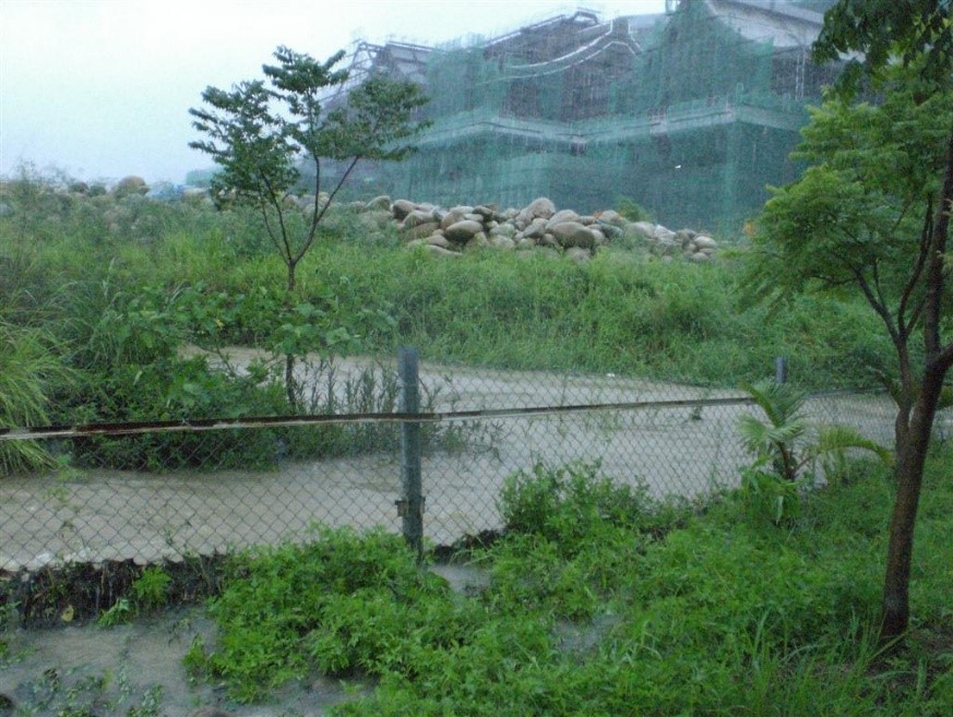 暴雨無情 同仁有情 守護台中慈院 全院上下合心協力 成功維持正常運作