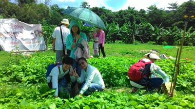 病友衛教走向戶外 樂智長輩體驗農事樂趣多