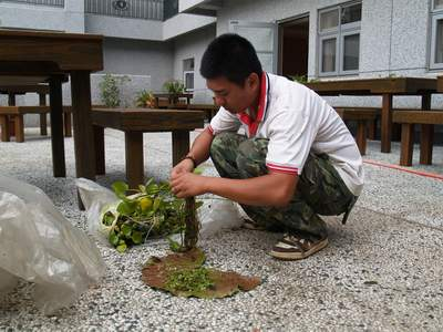 image 2_41051.png