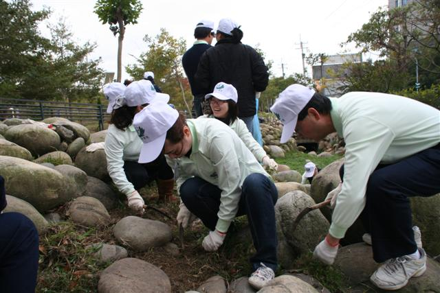 image 3_42380.png
