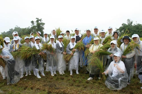 image 4_76545.png