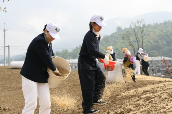 image 4_8e24d.png
