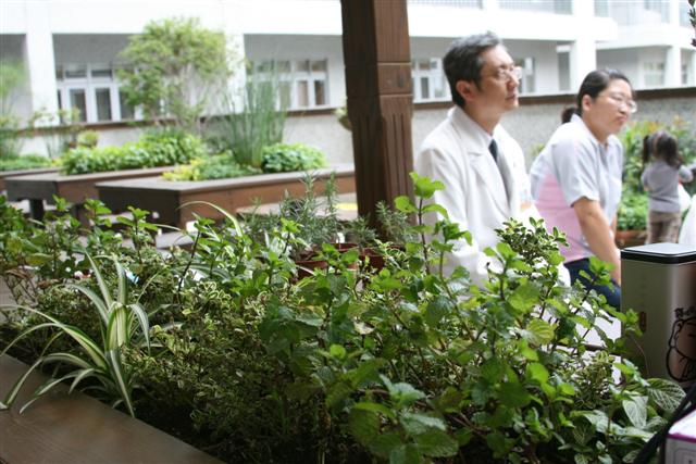 image 4_95752.png