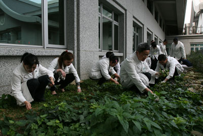 臺中慈院醫護連心 團拜拔草淨心護大地