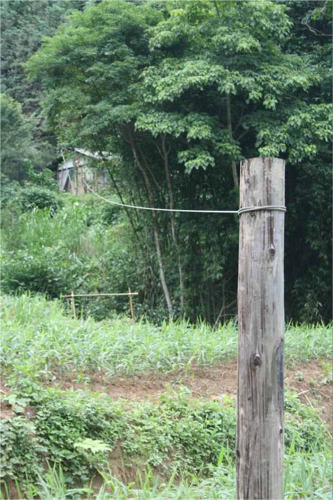 image 5_07703.png