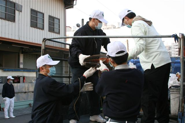 image 6_ce526.png