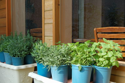 image 7_d57f4.png