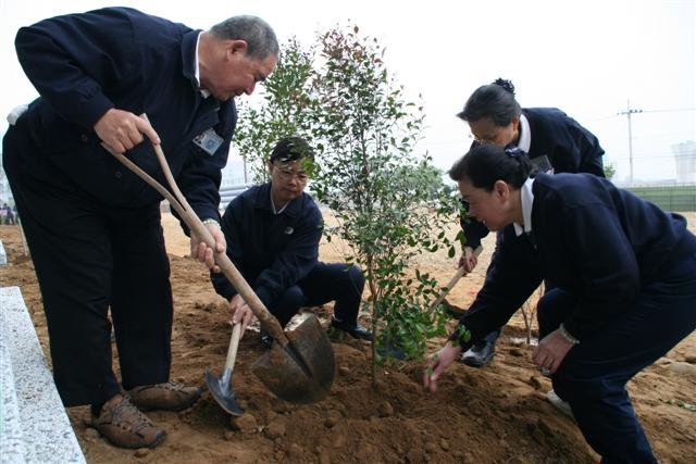 image 8_0b878.png