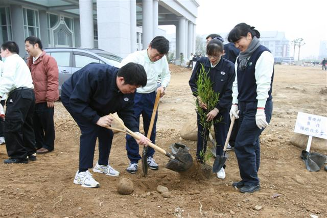 image 9_84184.png
