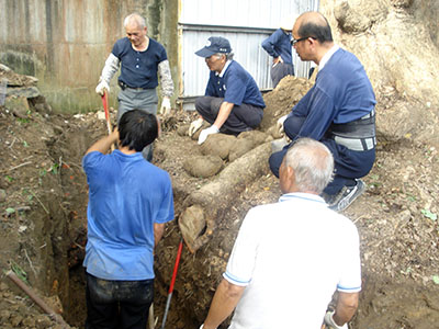 DSC05250_ccbdd.jpg