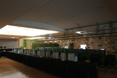 IMG_8125_2f2dd.jpg