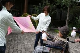 Image-14_d3036.jpg