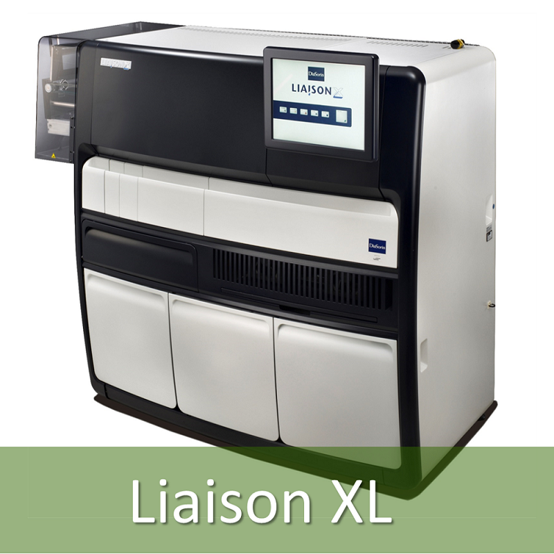 03 liasonXL 2f234