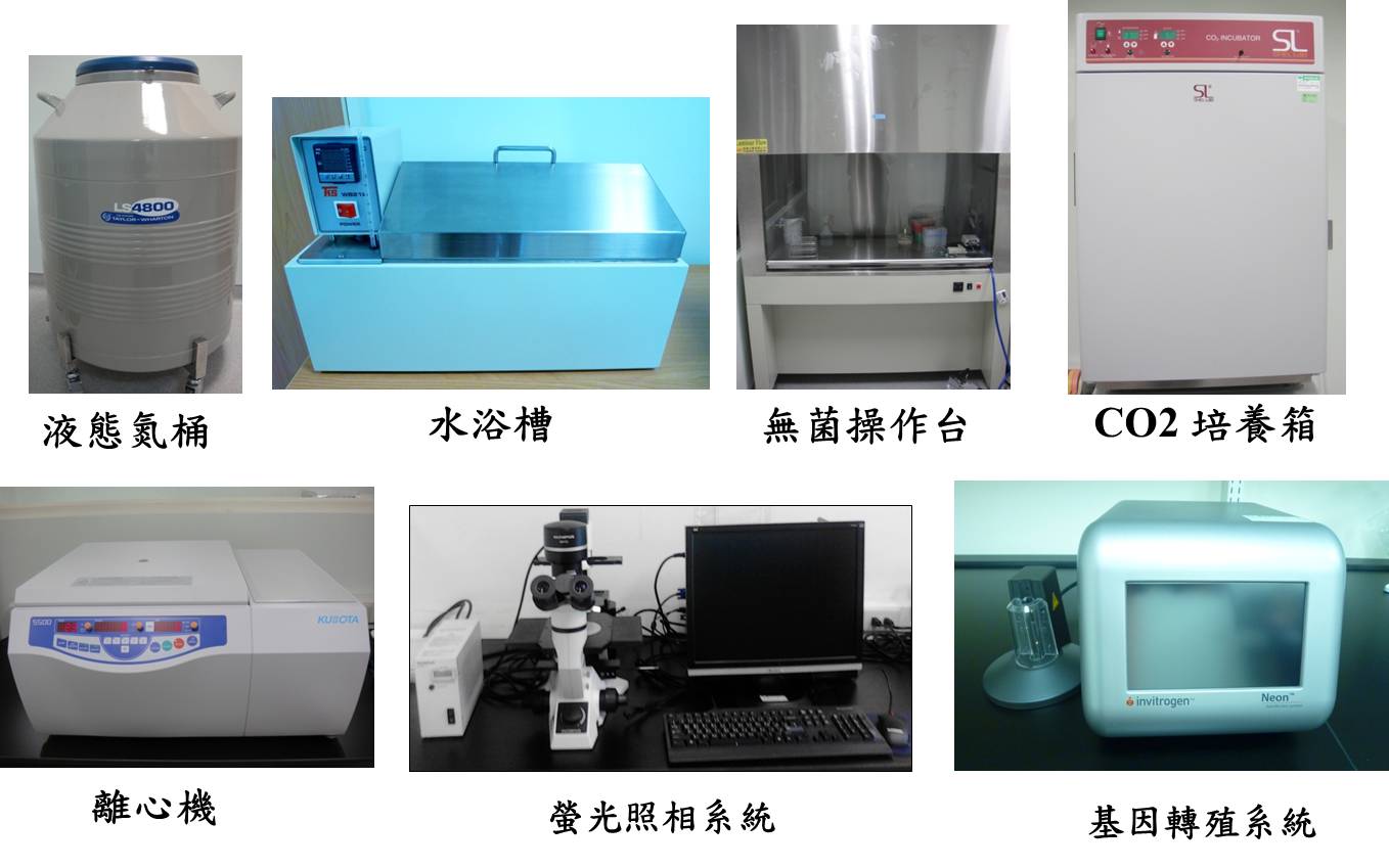 lab_2.jpg
