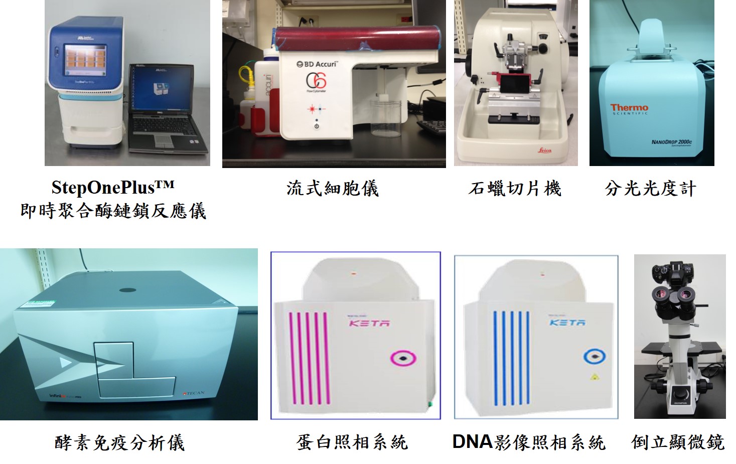 lab_4.jpg