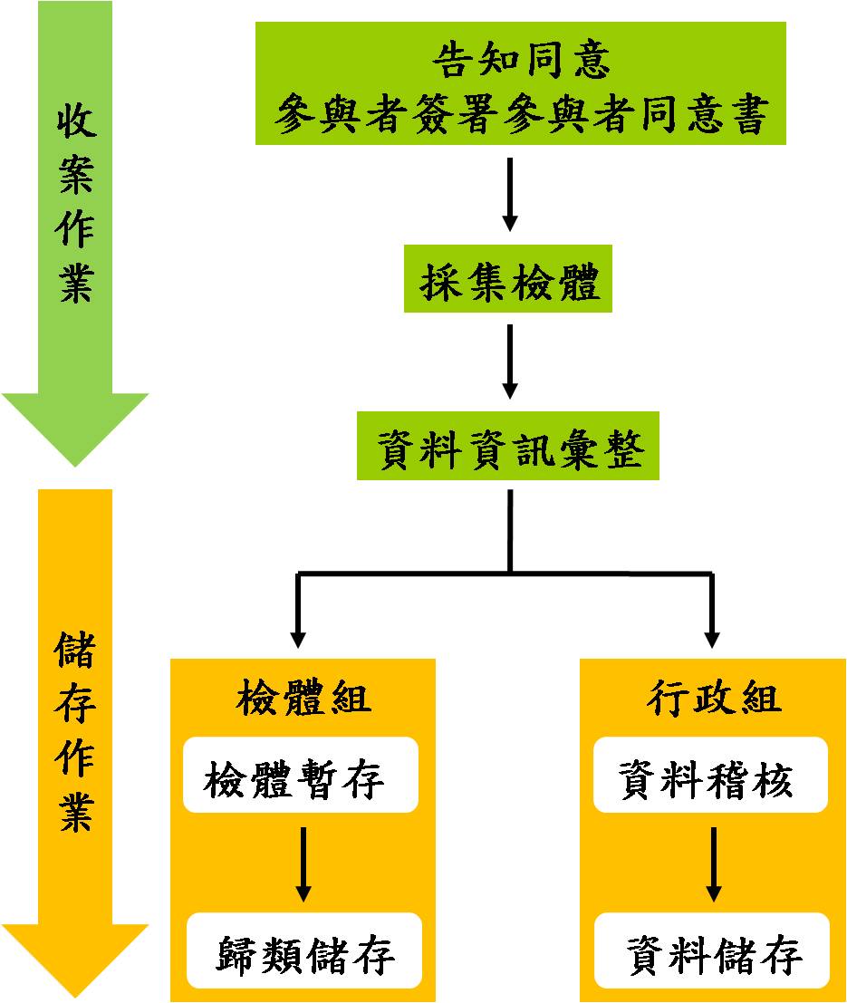 入庫作業流程.jpg