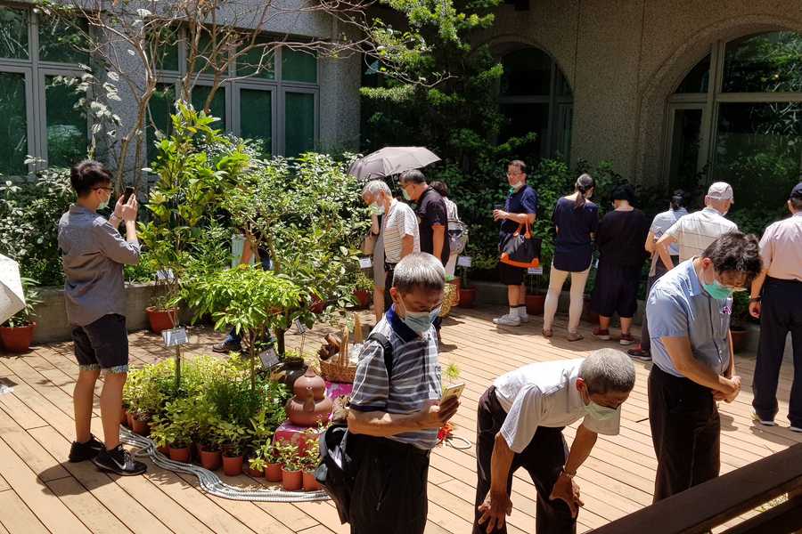 國醫節推廣臺灣藥用植物 講師分享臨床經驗